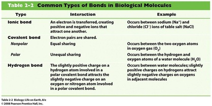 bonds molecules biomolecules chemical atoms interactions different together hold biology4isc made substance attractive compound forces elements
