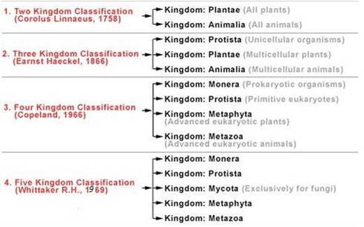 Whittaker Five Kingdom Classification Chart