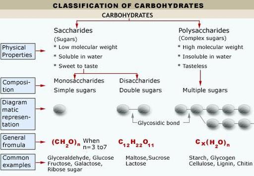 Classification Of Carbohydrates Chart